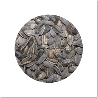 Sunflower Seeds Snack Food Photograph Circle Posters and Art